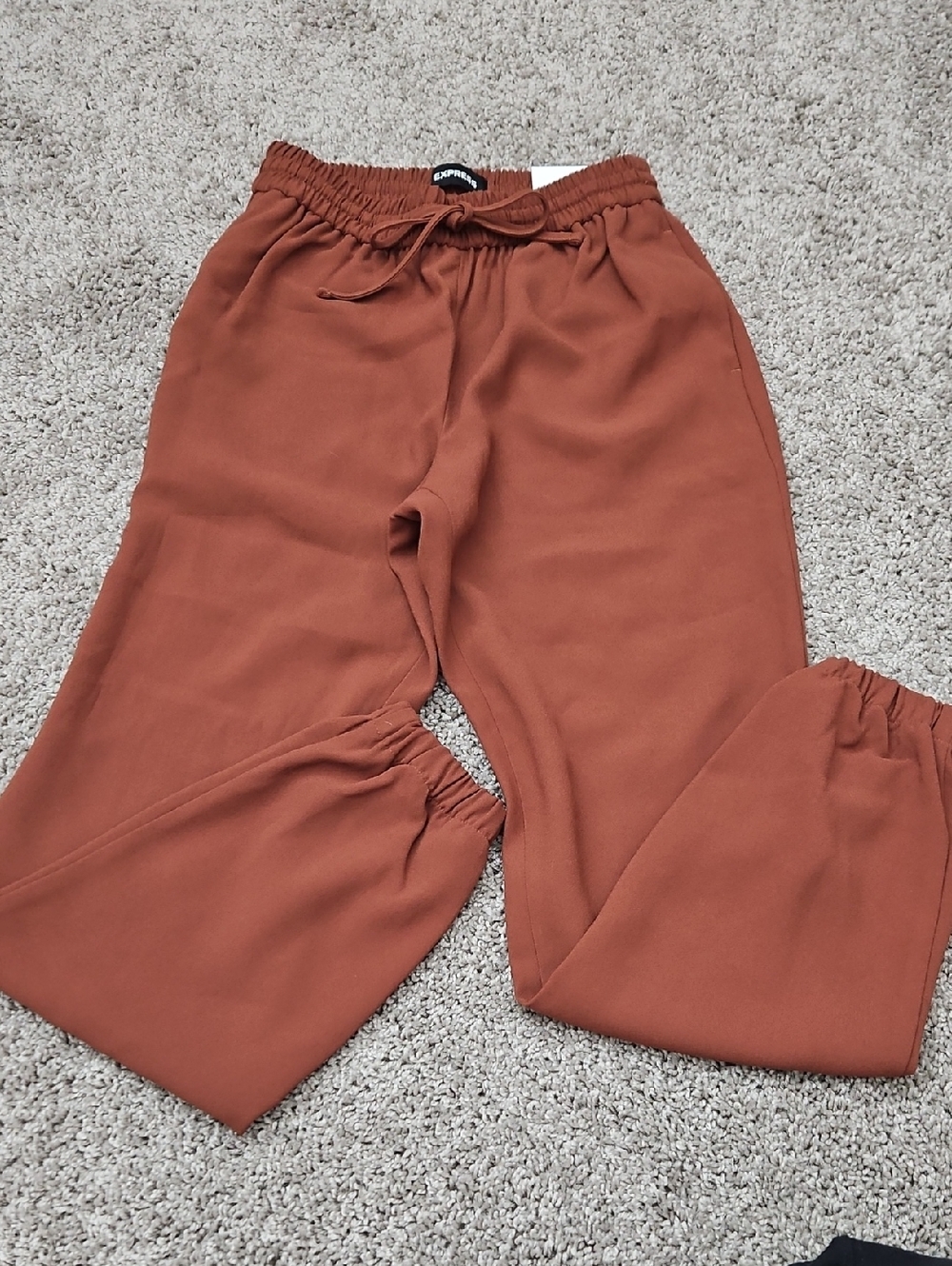 Express Rust Brown Elastic Waist Joggers
